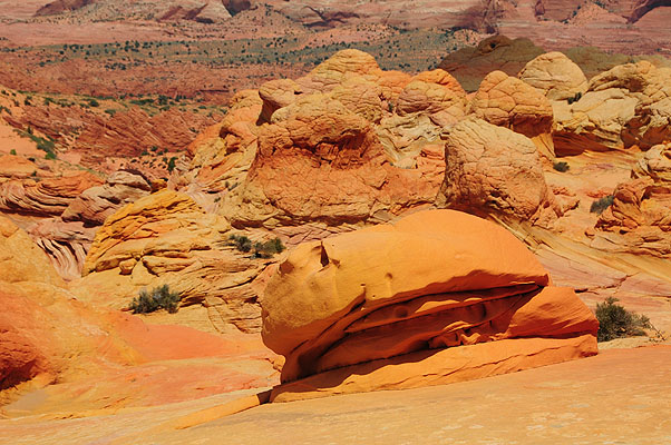 DSC_2896.jpg (4288x2848) NIKON D300 - 18-200mm f/3.5-5.6 // F9 // 1/320 sec // ISO 200 // 56,0 mm // no Flash // 2008:07:17 12:39:22 DSC_2896.jpg (4288x2848) NIKON D300 - 18-200mm f/3.5-5.6 // F9 // 1/320 sec // ISO 200 // 56,0 mm // no Flash // 2008:07:17 12:39:22